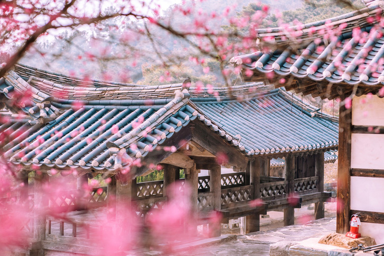 충남이 빚은 싱그러운 봄으로의 초대